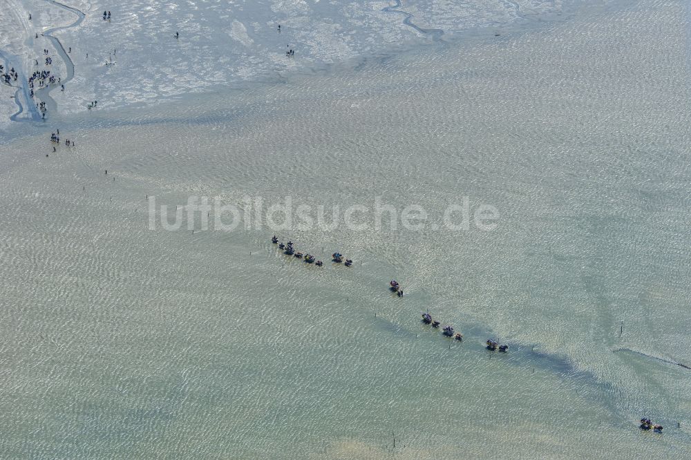 Cuxhaven aus der Vogelperspektive: Wattenmeer der Nordsee- Küste mit Wattenwanderung an der Prielenbildung in Sahlenburg im Bundesland Niedersachsen, Deutschland