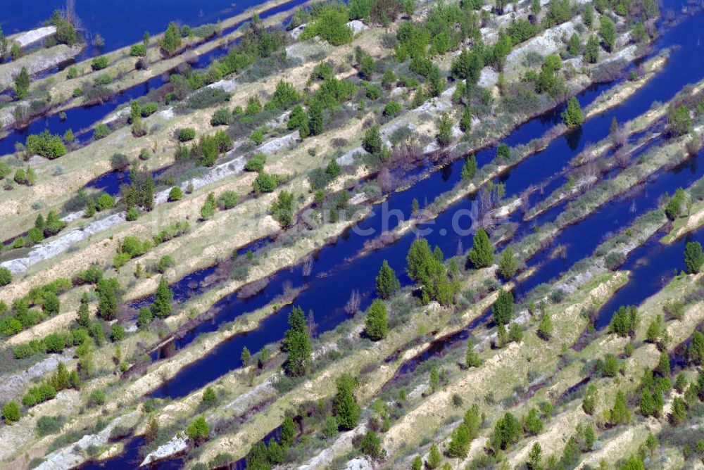 BRODAU aus der Vogelperspektive: Webeliner See