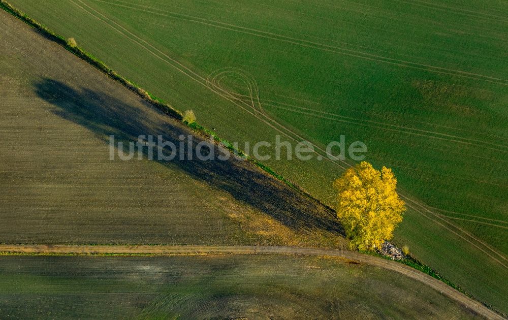 Rosenow aus der Vogelperspektive: Weggabelung bei Rosenow im Bundesland Mecklenburg-Vorpommern