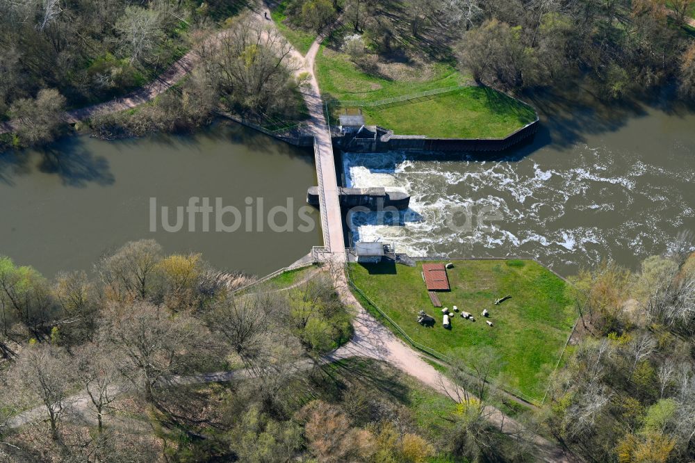 Luftbild Halle (Saale) - Wehr am Ufer des Flußverlauf der Elisabeth-Saale in Halle (Saale) im Bundesland Sachsen-Anhalt, Deutschland