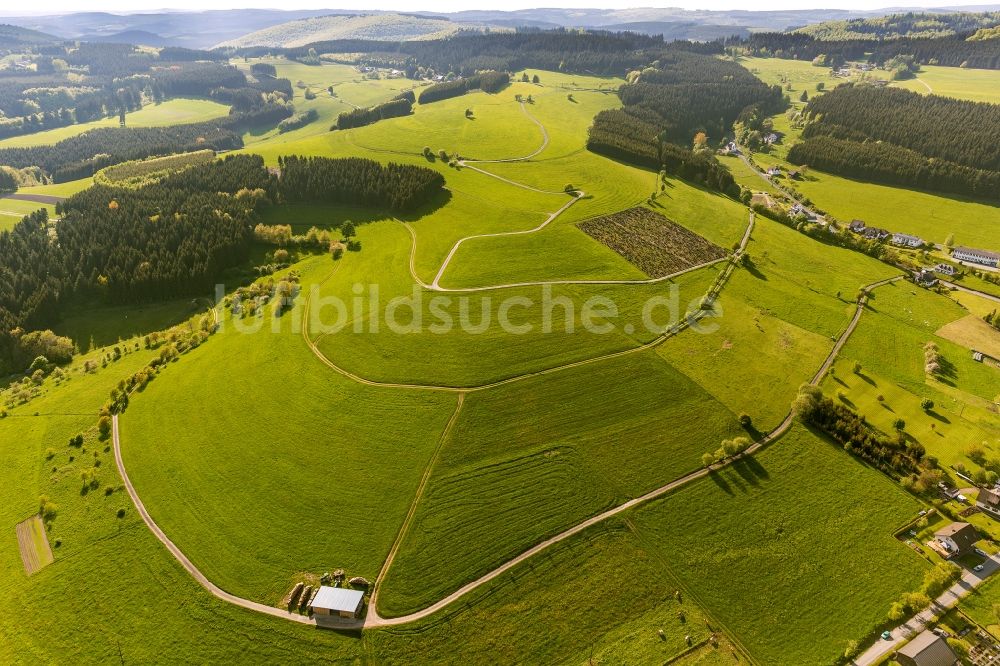 Luftaufnahme Bad Berleburg OT Wunderthausen - Weideland beim Ortsteil Wunderthausen in Bad Berleburg im Bundesland Nordrhein-Westfalen