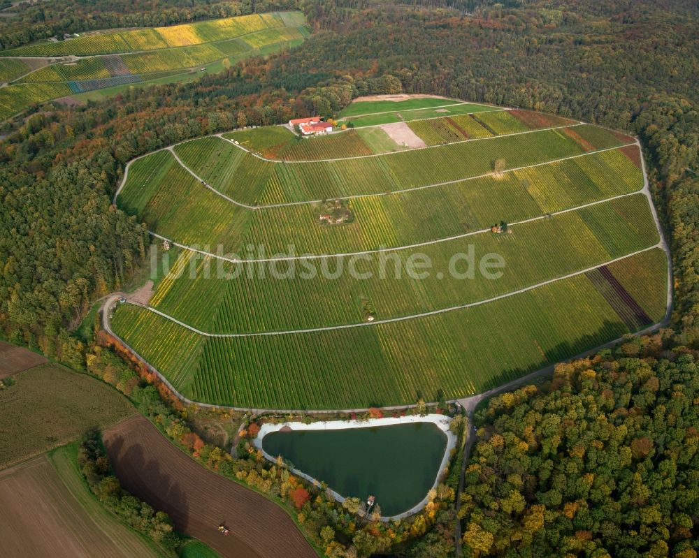 Abstatt von oben - Weiher und Felder am Beilsteiner Steinberg im Bundesland Baden-Württemberg