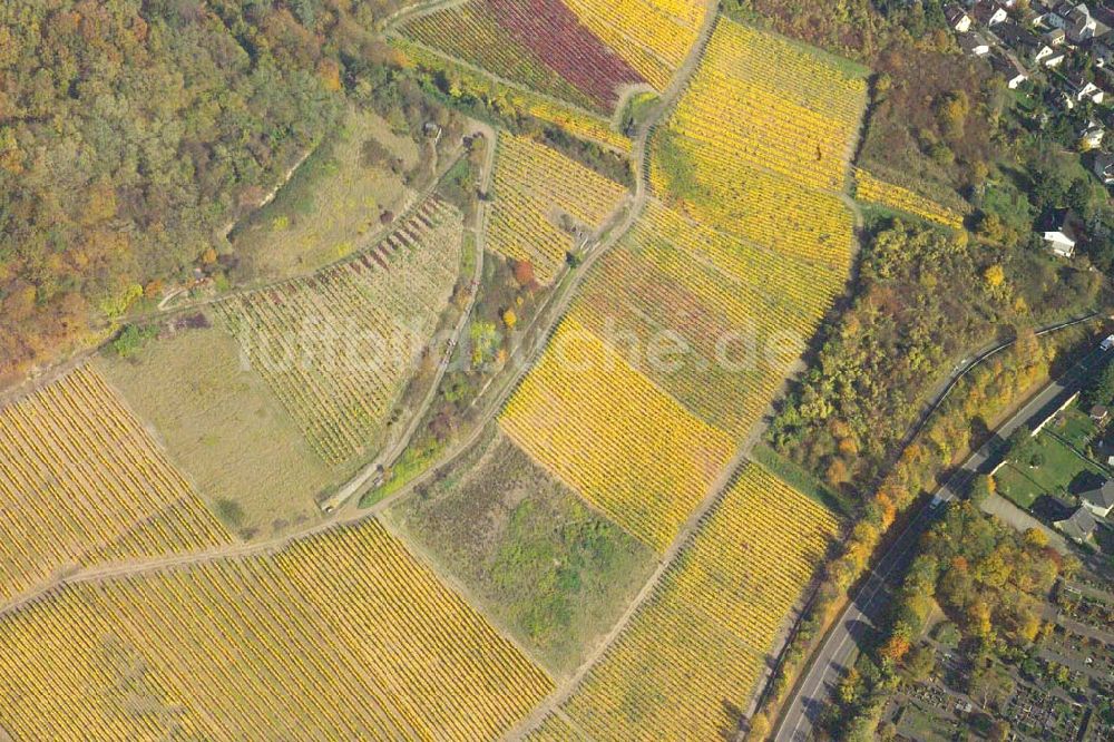 Luftbild Bad Breisig - Weinanbau