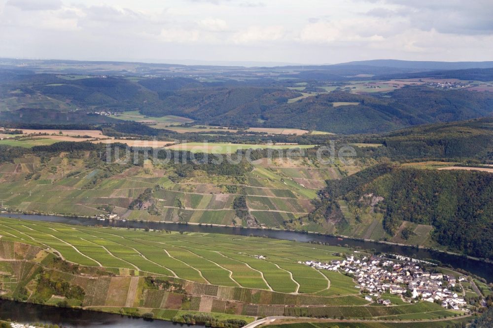 Luftbild Minheim - Weinanbaugebiet in Minheim im Bundesland Rheinland-Pfalz