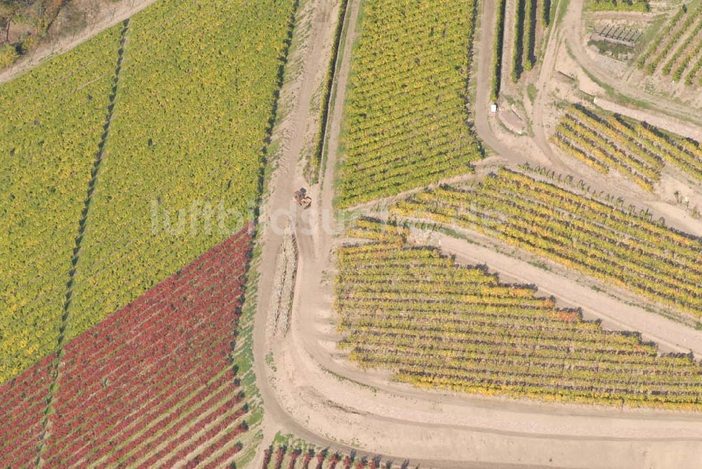 Luftaufnahme Zaschendorf - Weinbau im Spaargebirge