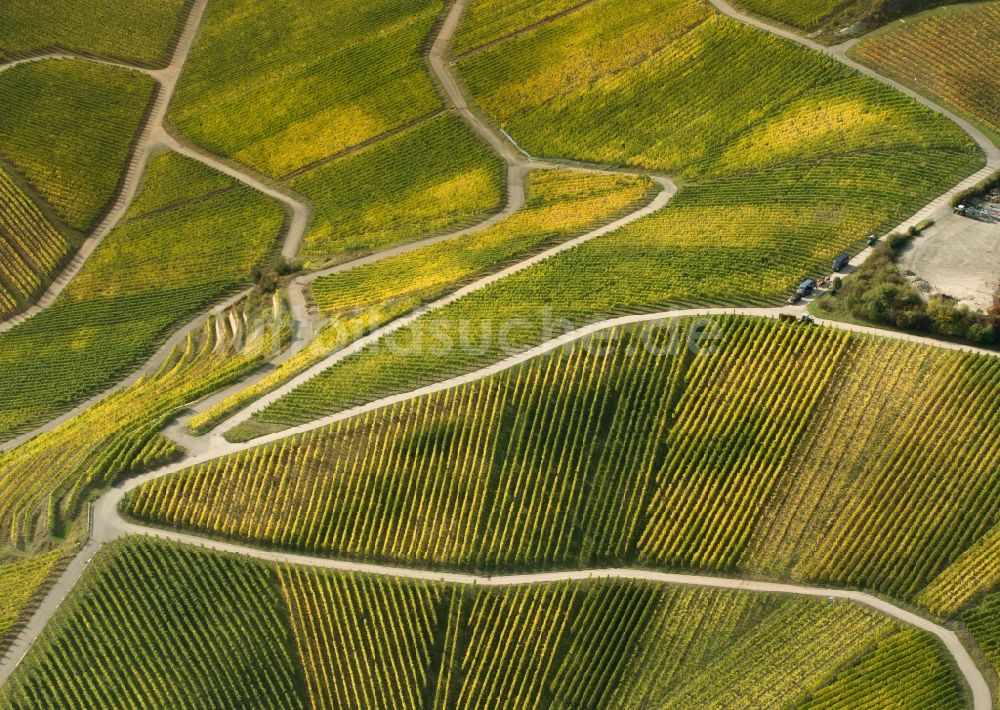 Luftaufnahme Luxemburg - Weinberge an der Mosel in Luxemburg