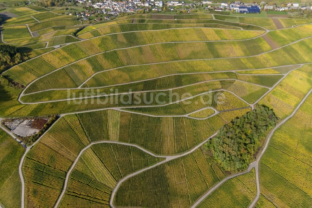 Wellenstein aus der Vogelperspektive: Weinberge und Reben - Reihen im Wein - Anbaugebiet bei Wellenstein in der Gemeinde Schengen im Großherzogtum Luxemburg