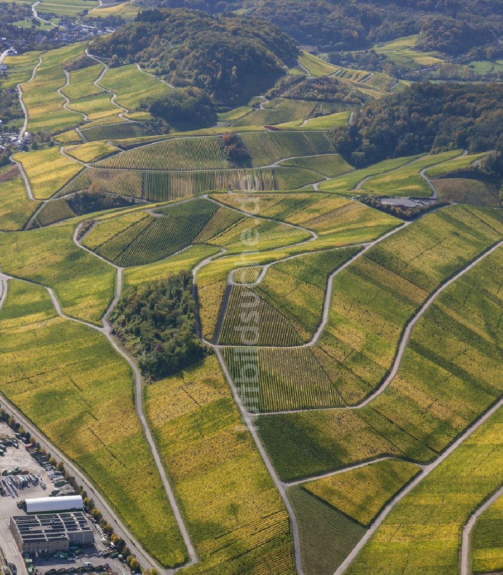 Wellenstein aus der Vogelperspektive: Weinberge und Reben - Reihen im Wein - Anbaugebiet bei Wellenstein in der Gemeinde Schengen im Großherzogtum Luxemburg