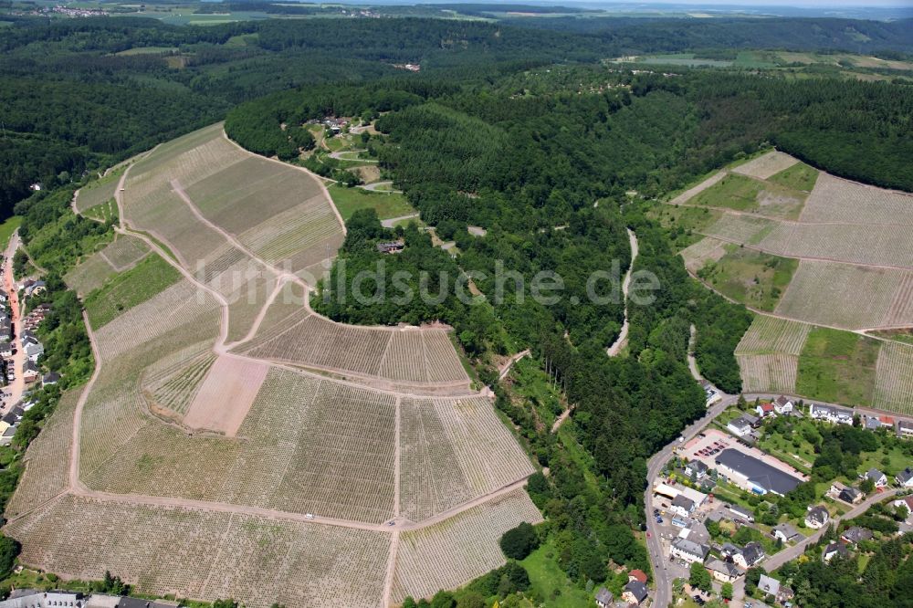 Luftbild Saarburg - Weinberge in Saarburg im Bundesland Rheinland-Pfalz