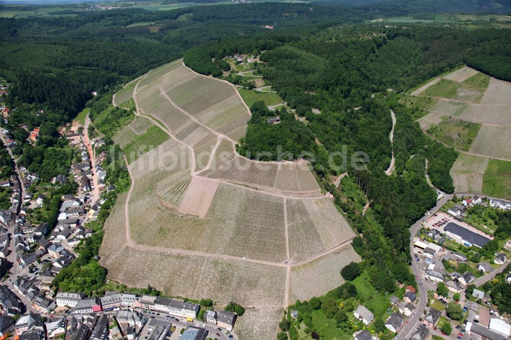 Luftaufnahme Saarburg - Weinberge in Saarburg im Bundesland Rheinland-Pfalz