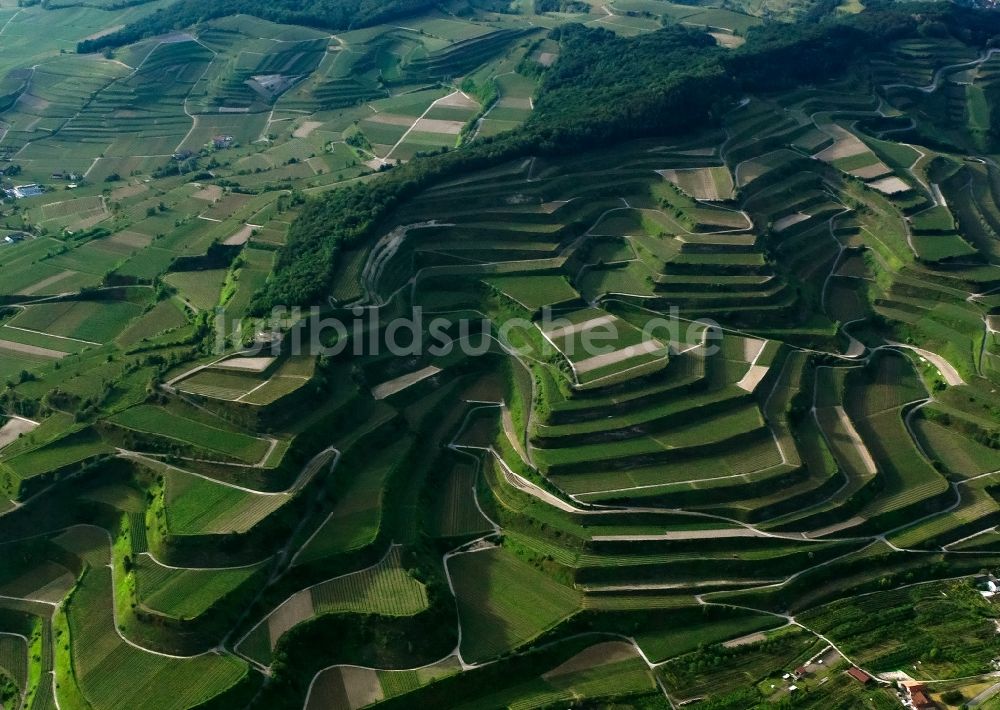 Luftaufnahme Vogtsburg im Kaiserstuhl - Weinberge in Terrassenlage mit dem Aussichtspunkt Mondhalde bei Vogtsburg im Kaiserstuhl im Bundesland Baden-Württemberg