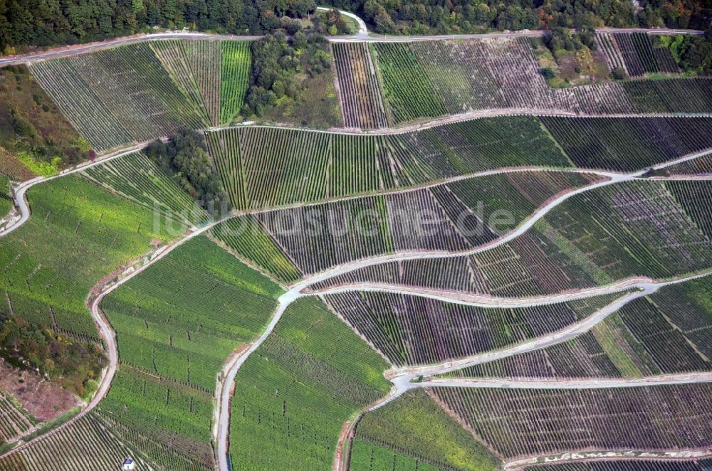 Luftbild Neumagen-Dhron - Weinberge eines Winzerbetriebes bei Neumagen-Dhron im Bundesland Rheinland-Pfalz