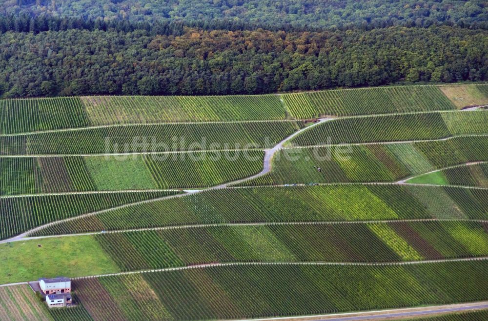 Luftaufnahme Neumagen-Dhron - Weinberge eines Winzerbetriebes bei Neumagen-Dhron im Bundesland Rheinland-Pfalz