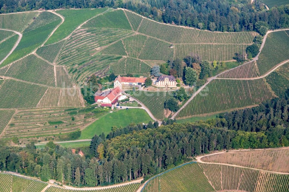 Durbach aus der Vogelperspektive: Weinberge am Winzerhof in Durbach im Bundesland Baden-Württemberg, Deutschland