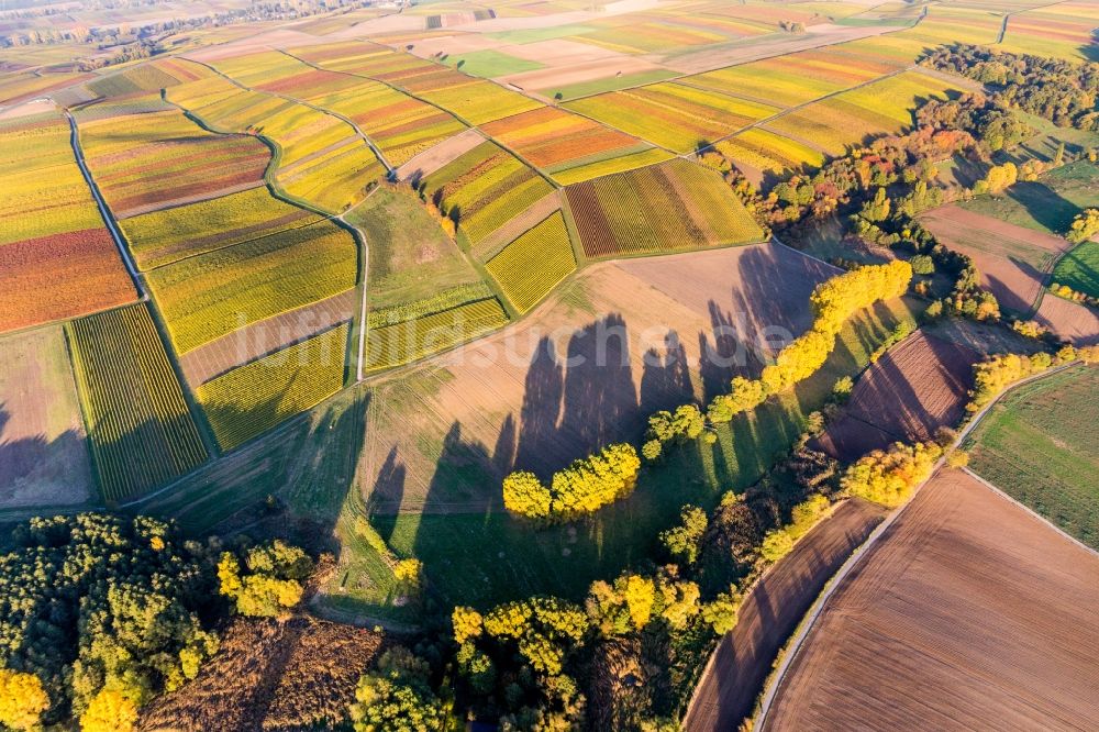 Heuchelheim-Klingen von oben - Weinbergs- Landschaft im bunten Herbstlaub der Winzer- Gebiete in Heuchelheim-Klingen im Bundesland Rheinland-Pfalz, Deutschland