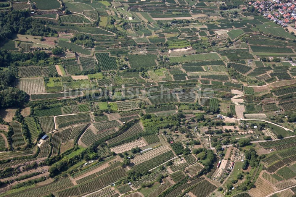 Endingen am Kaiserstuhl aus der Vogelperspektive: Weinbergs- Landschaft der Weinanbau- Gebiete in Endingen am Kaiserstuhl im Bundesland Baden-Württemberg