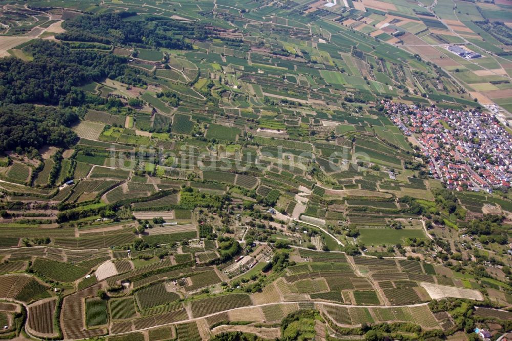 Luftbild Endingen am Kaiserstuhl - Weinbergs- Landschaft der Weinanbau- Gebiete in Endingen am Kaiserstuhl im Bundesland Baden-Württemberg