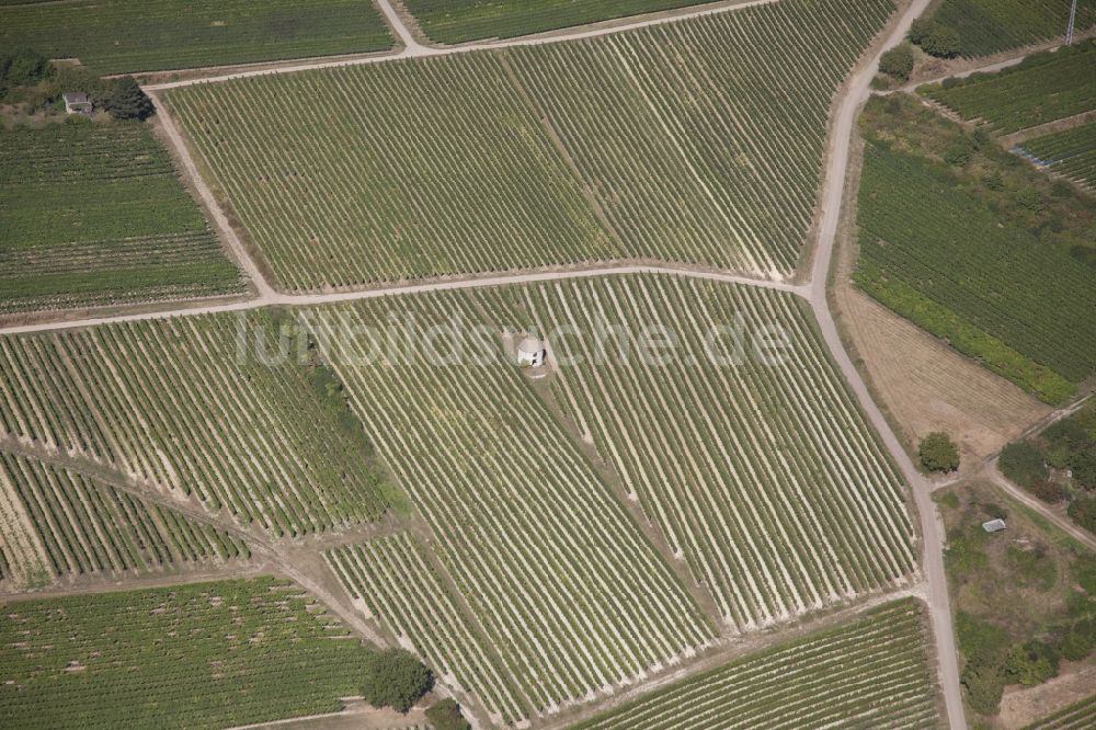 Luftaufnahme Stadecken-Elsheim - Weinbergs- Landschaft der Weinanbau Gebiete in Stadecken-Elsheim im Bundesland Rheinland-Pfalz