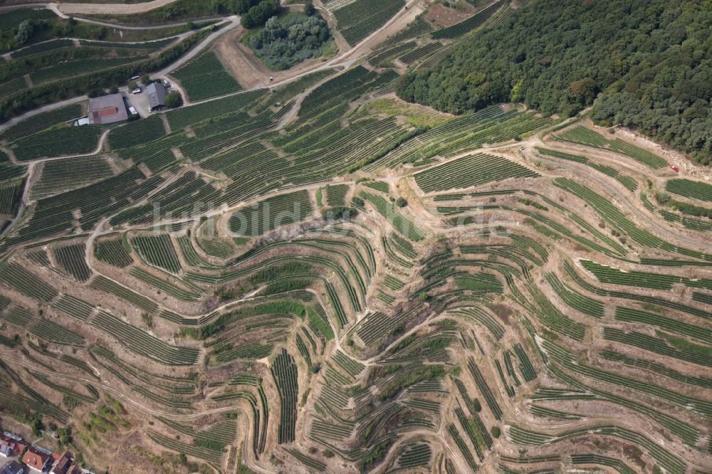 Luftaufnahme Vogtsburg im Kaiserstuhl - Weinbergs- Landschaft der Weinanbau- Gebiete in Vogtsburg im Kaiserstuhl im Bundesland Baden-Württemberg