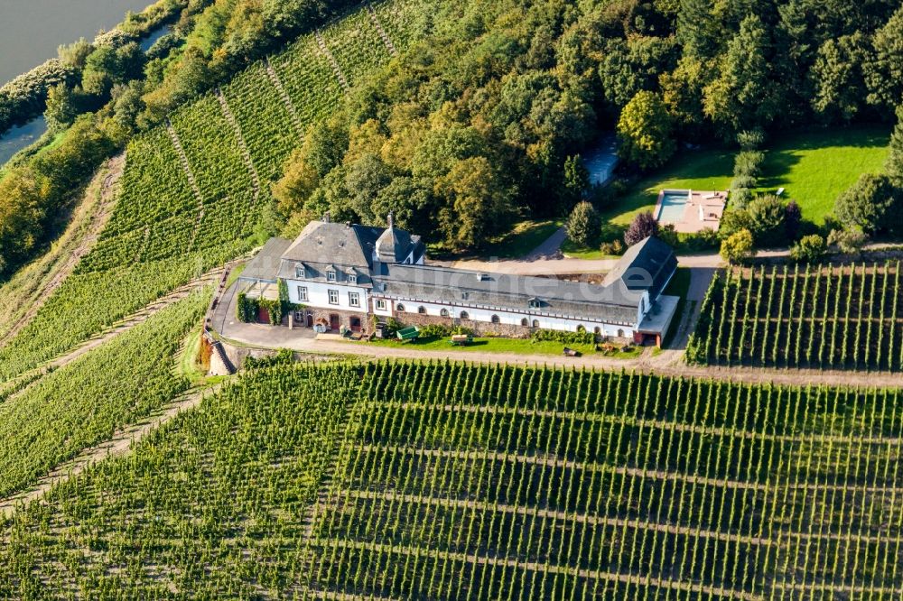 Serrig aus der Vogelperspektive: Weinbergs- Landschaft mit Weingut Schloss Saarstein über der Saar in Serrig im Bundesland , Deutschland