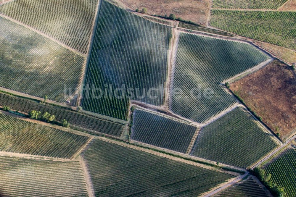 Luftbild Abbadia - Weinbergs- Landschaft der Winzer- Gebiete in Abbadia in Toscana, Italien