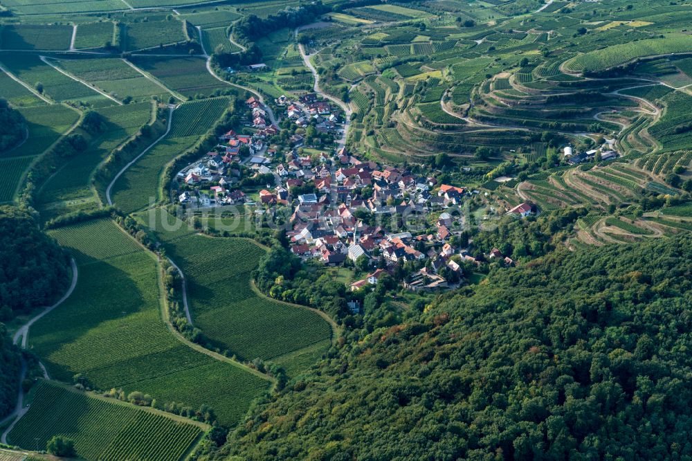 Luftaufnahme Amoltern - Weinbergs- Landschaft der Winzer- Gebiete in Amolte im Bundesland Baden-Württemberg, Deutschland