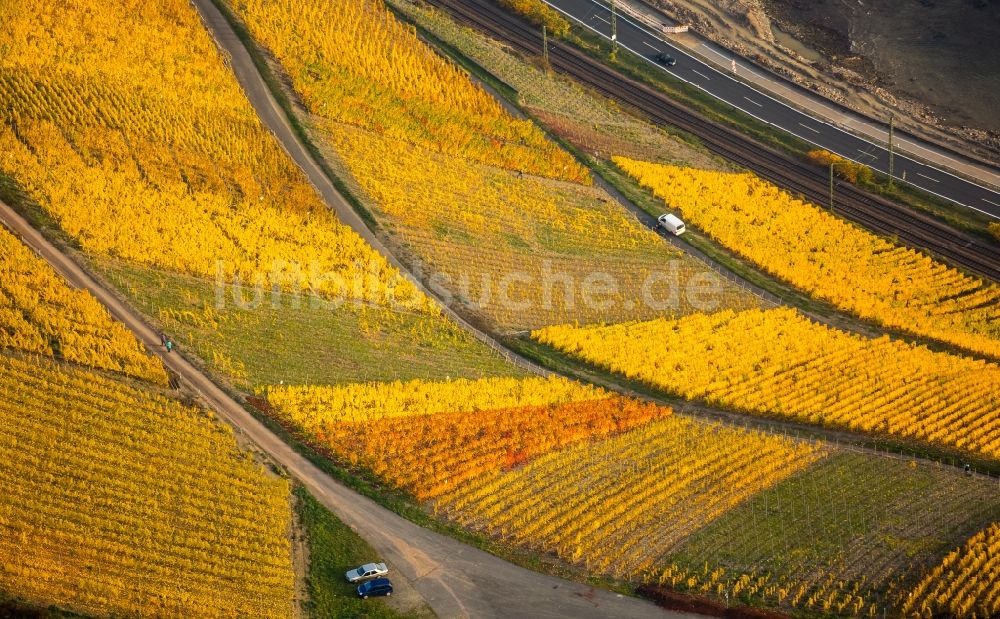 Brey von oben - Weinbergs- Landschaft der Winzer- Gebiete in Brey im Bundesland Rheinland-Pfalz