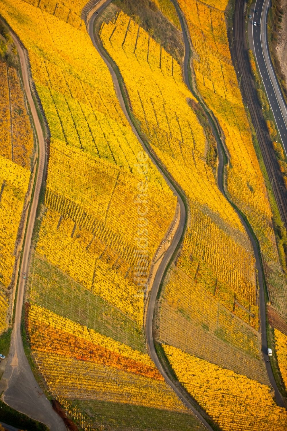 Brey aus der Vogelperspektive: Weinbergs- Landschaft der Winzer- Gebiete in Brey im Bundesland Rheinland-Pfalz