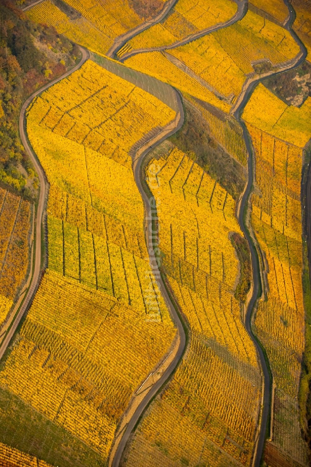 Luftaufnahme Brey - Weinbergs- Landschaft der Winzer- Gebiete in Brey im Bundesland Rheinland-Pfalz