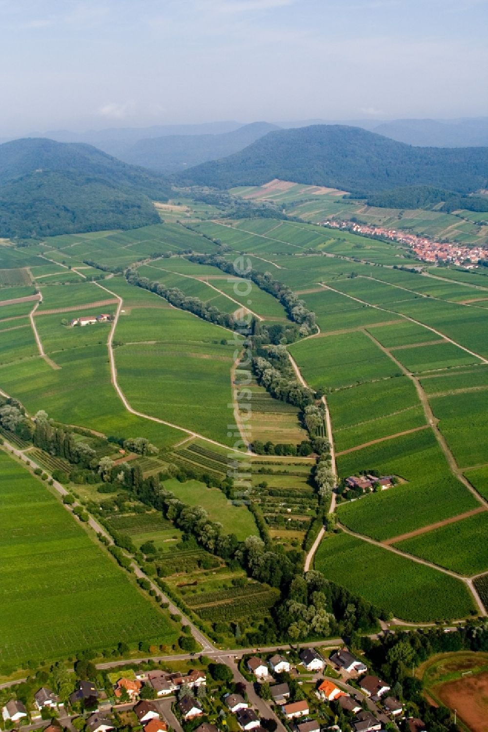 Luftaufnahme Ilbesheim bei Landau in der Pfalz - Weinbergs- Landschaft der Winzer- Gebiete von Ilbesheim bei Landau in der Pfalz bis Ranschbach im Bundesland Rheinland-Pfalz