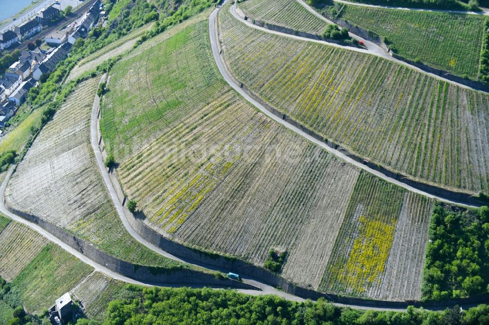 Luftbild Kaub - Weinbergs- Landschaft der Winzer- Gebiete in Kaub im Bundesland Rheinland-Pfalz, Deutschland