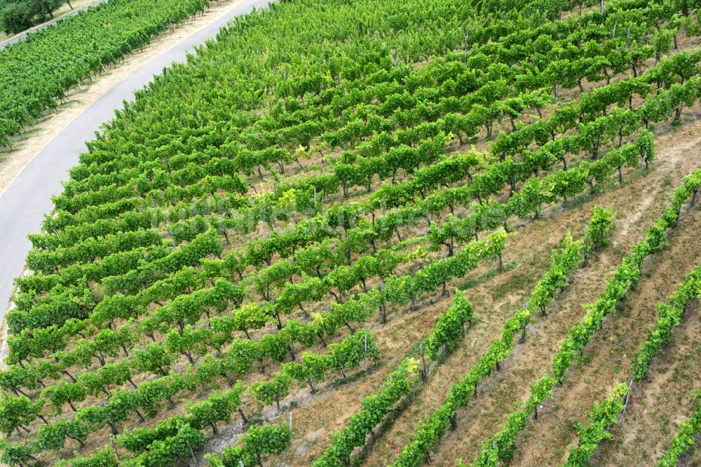 Luftaufnahme Kleinheppach - Weinbergs- Landschaft der Winzer- Gebiete in Kleinheppach im Bundesland Baden-Württemberg