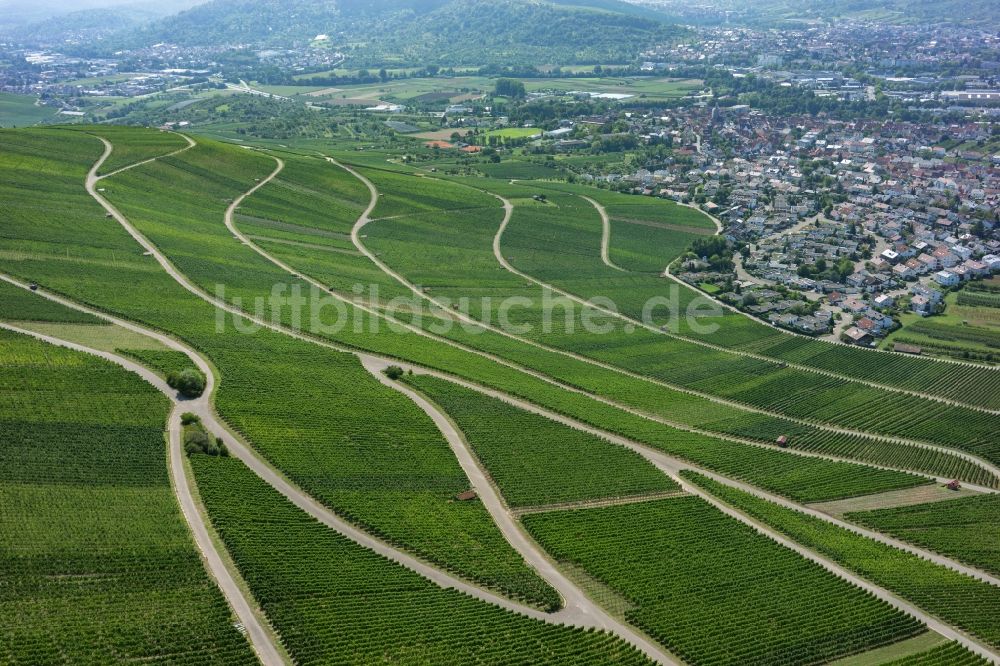 Luftaufnahme Korb - Weinbergs- Landschaft der Winzer- Gebiete in Korb im Bundesland Baden-Württemberg