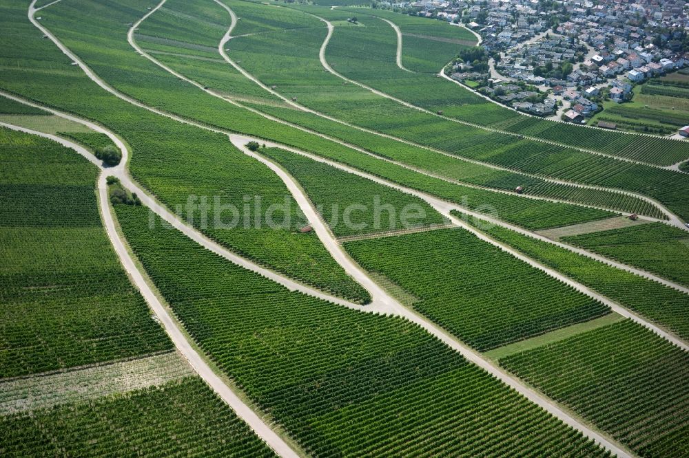 Luftaufnahme Korb - Weinbergs- Landschaft der Winzer- Gebiete in Korb im Bundesland Baden-Württemberg