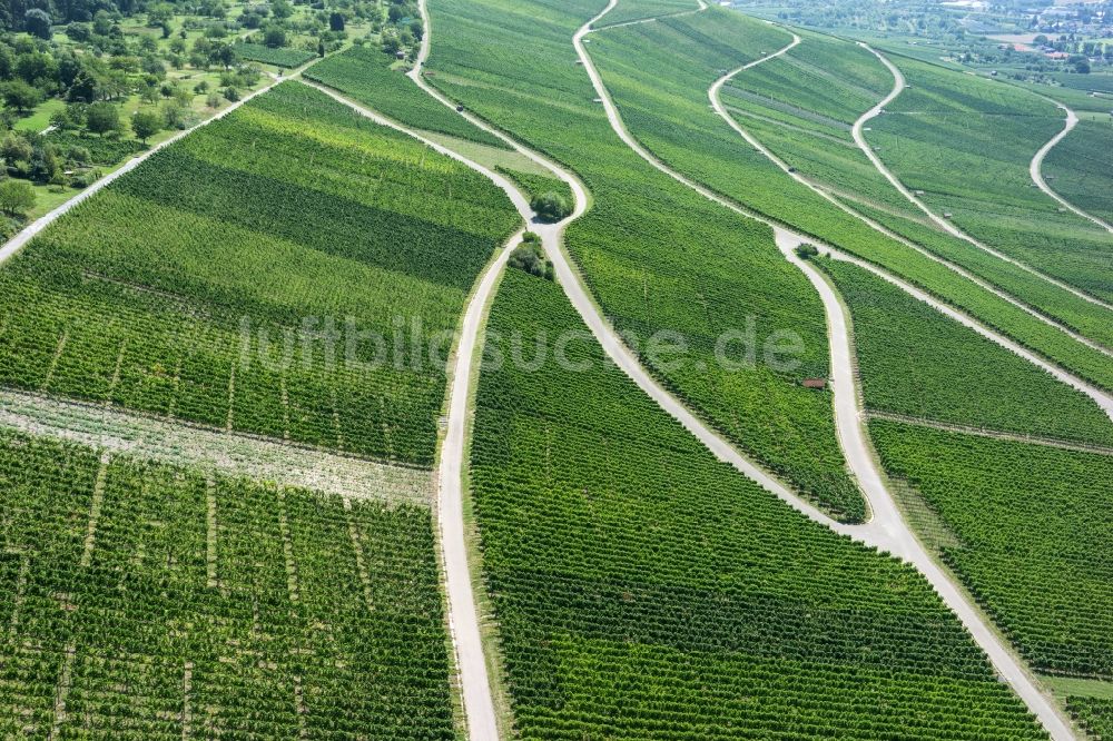 Korb von oben - Weinbergs- Landschaft der Winzer- Gebiete in Korb im Bundesland Baden-Württemberg