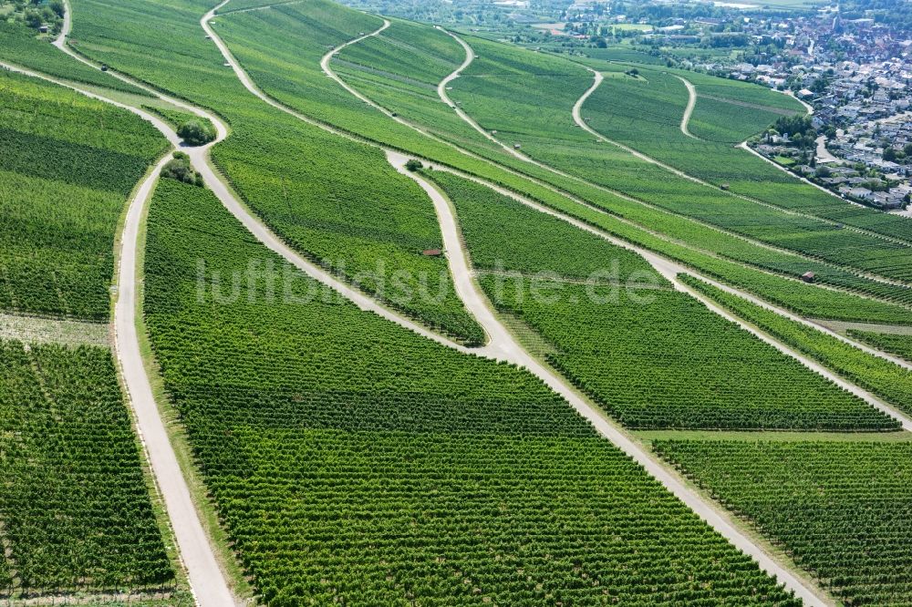 Korb aus der Vogelperspektive: Weinbergs- Landschaft der Winzer- Gebiete in Korb im Bundesland Baden-Württemberg