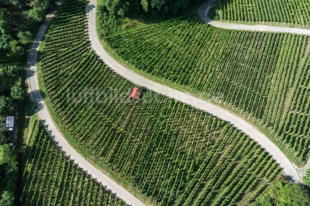 Korb von oben - Weinbergs- Landschaft der Winzer- Gebiete in Korb im Bundesland Baden-Württemberg