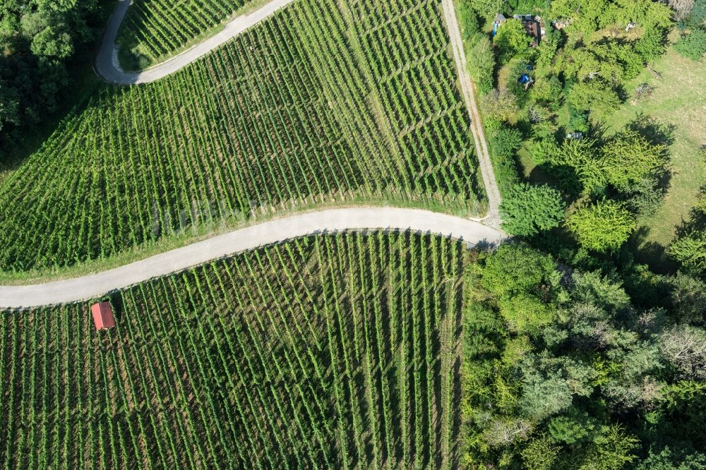 Korb aus der Vogelperspektive: Weinbergs- Landschaft der Winzer- Gebiete in Korb im Bundesland Baden-Württemberg