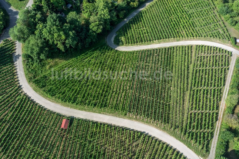 Luftbild Korb - Weinbergs- Landschaft der Winzer- Gebiete in Korb im Bundesland Baden-Württemberg