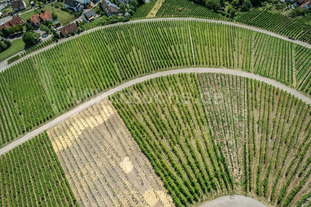 Korb aus der Vogelperspektive: Weinbergs- Landschaft der Winzer- Gebiete in Korb im Bundesland Baden-Württemberg