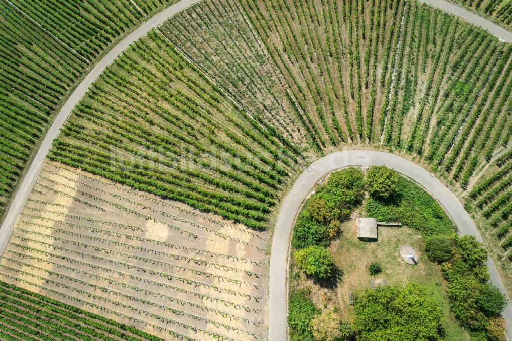 Luftbild Korb - Weinbergs- Landschaft der Winzer- Gebiete in Korb im Bundesland Baden-Württemberg