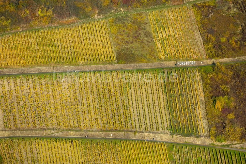 Luftbild Leutesdorf - Weinbergs- Landschaft der Winzer- Gebiete in Leutesdorf im Bundesland Rheinland-Pfalz