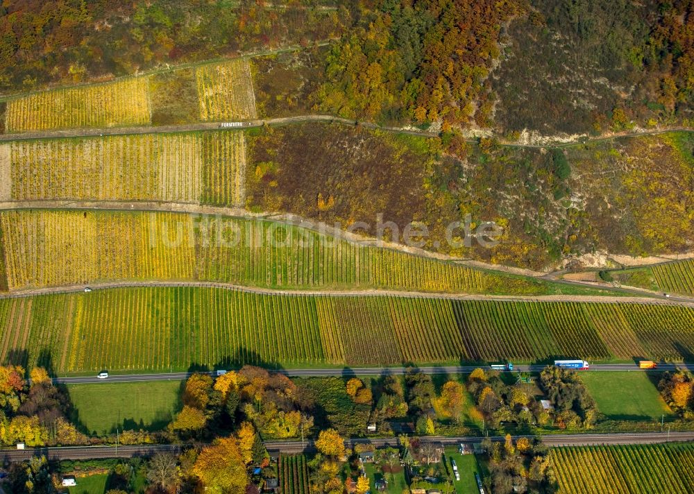 Leutesdorf von oben - Weinbergs- Landschaft der Winzer- Gebiete in Leutesdorf im Bundesland Rheinland-Pfalz