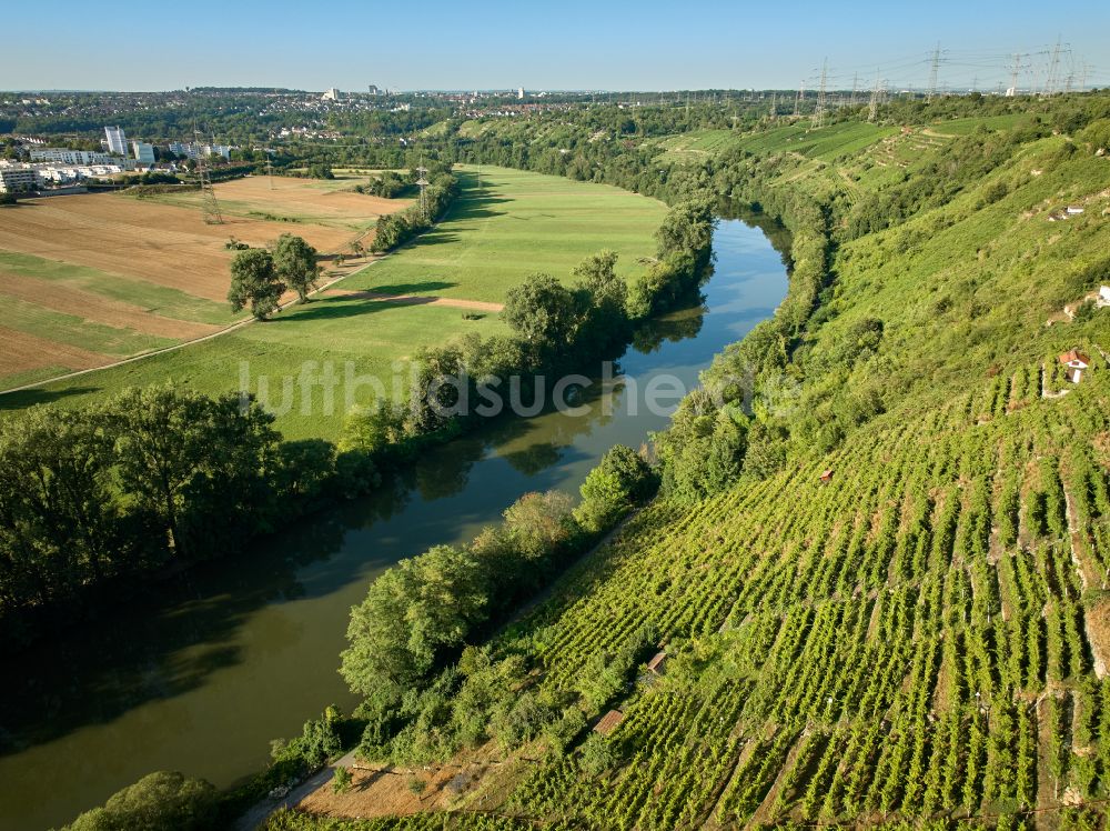 Ludwigsburg von oben - Weinbergs- Landschaft der Winzer- Gebiete in Ludwigsburg im Bundesland Baden-Württemberg, Deutschland