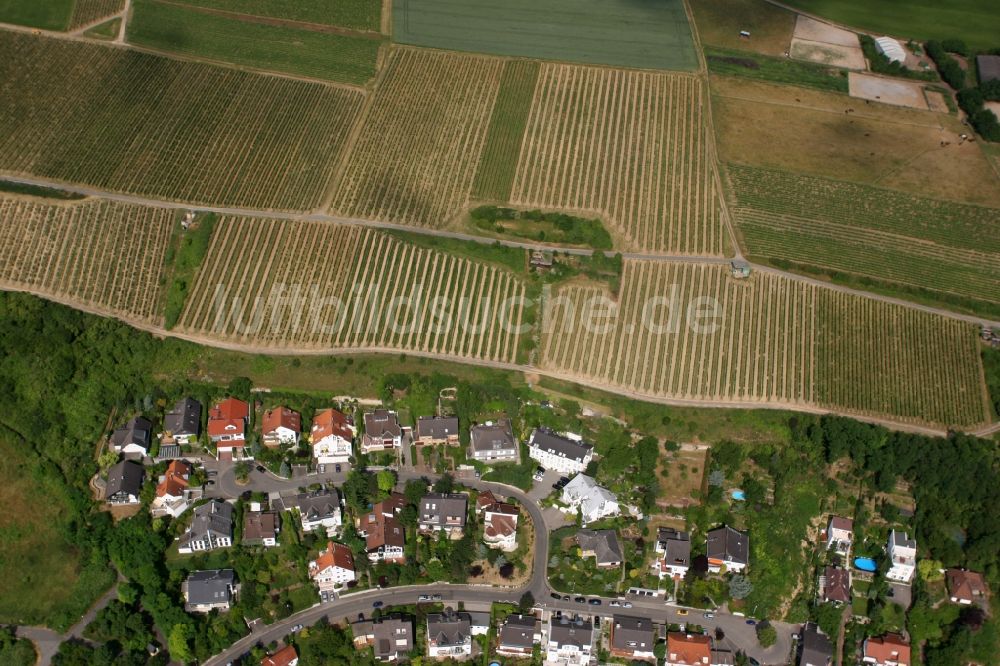 Mainz, Laubenheim aus der Vogelperspektive: Weinbergs- Landschaft der Winzer- Gebiete in Mainz, Laubenheim im Bundesland Rheinland-Pfalz