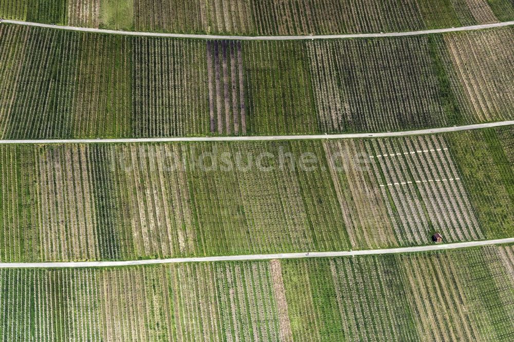 Luftaufnahme Metzingen - Weinbergs- Landschaft der Winzer- Gebiete in Metzingen im Bundesland Baden-Württemberg, Deutschland