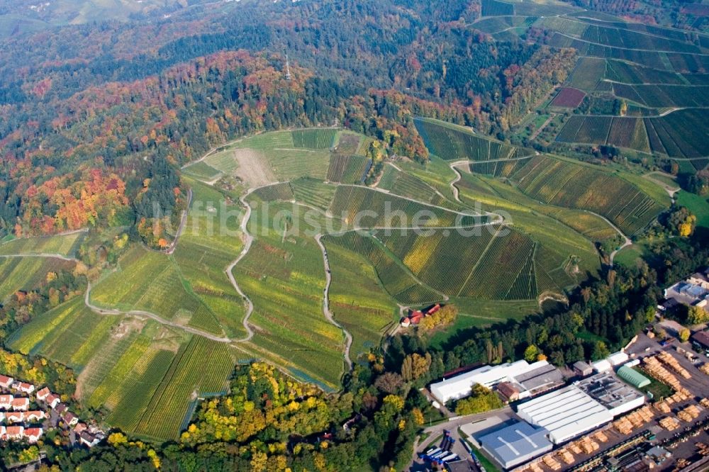 Luftbild Achern - Weinbergs- Landschaft der Winzer- Gebiete oberhalb des Schwarzwald Sägewerks im Ortsteil Oberachern in Achern im Bundesland Baden-Württemberg