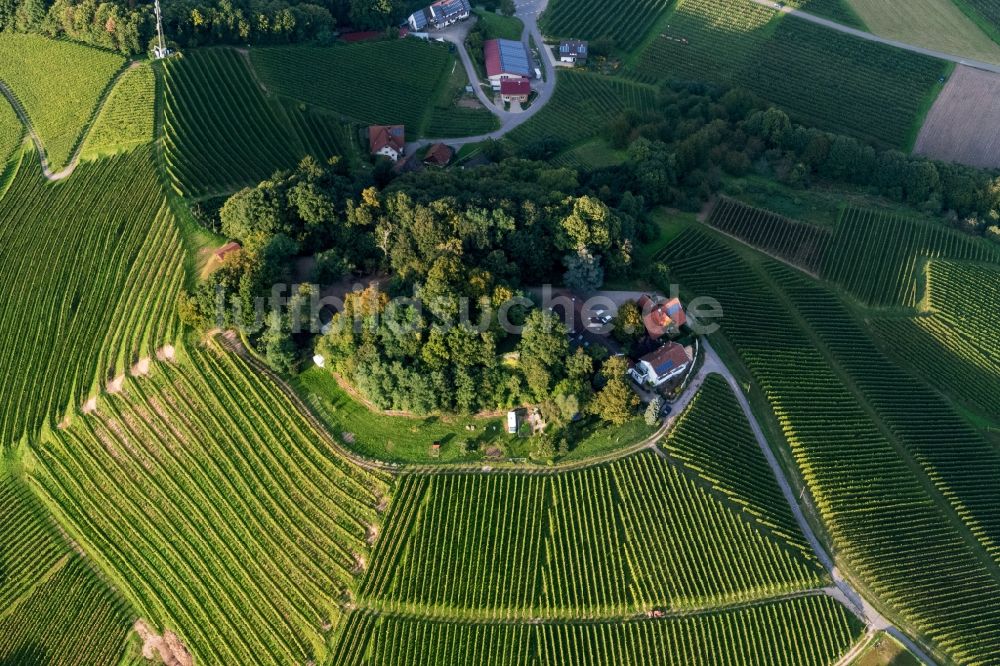 Oberkirch von oben - Weinbergs- Landschaft der Winzer- Gebiete in Oberkirch im Bundesland Baden-Württemberg