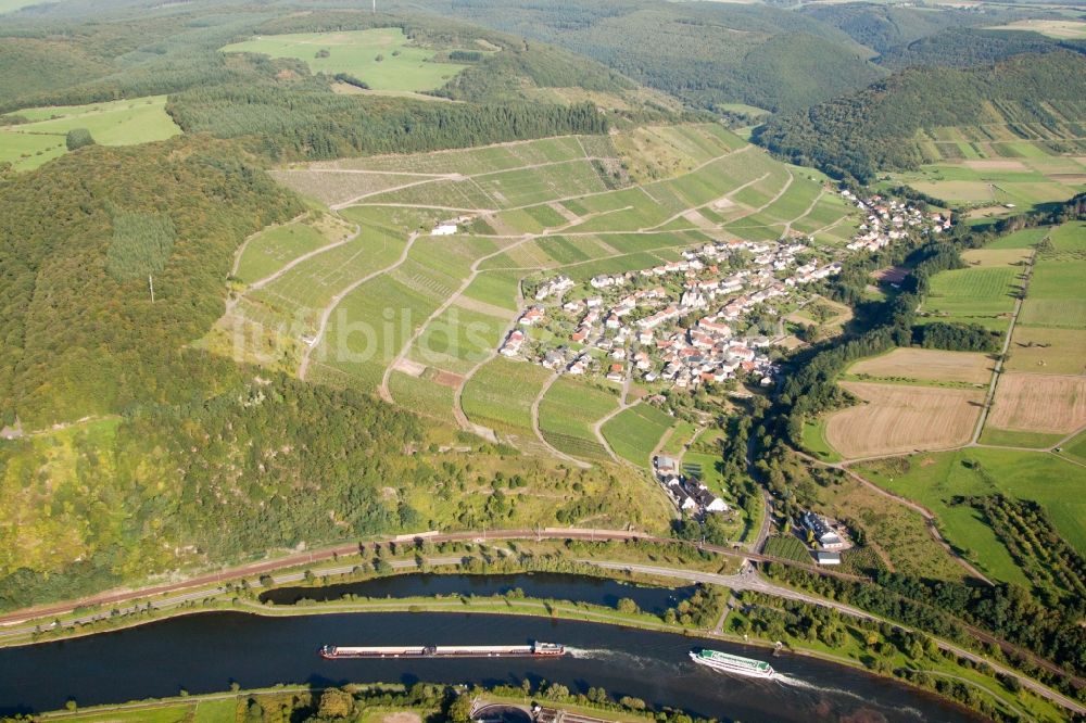 Ockfen von oben - Weinbergs- Landschaft der Winzer- Gebiete an der Saar in Ockfen im Bundesland Rheinland-Pfalz