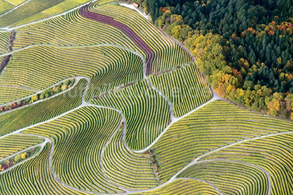 Sasbachwalden von oben - Weinbergs- Landschaft der Winzer- Gebiete in Sasbachwalden im Bundesland Baden-Württemberg